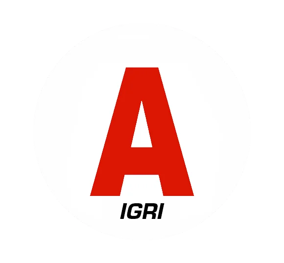 Sticker Disque A Jeune Permis AIGRI