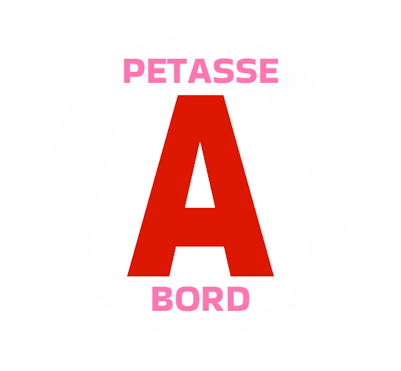 Sticker Disque A Petasse A Bord