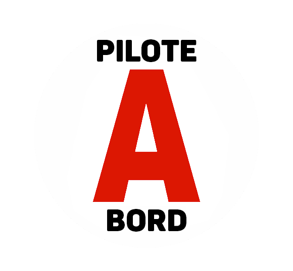 Sticker Disque A Pilote A Bord
