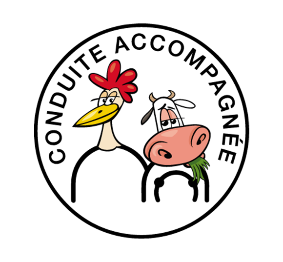 pmtcreation Sticker Conduite Accompagnée #03