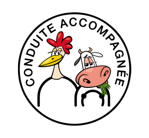 pmtcreation Sticker Conduite Accompagnée #03