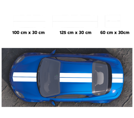 Kit Stickers Bandes Doubles 30 CM pour alpine A110